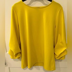 Ann Taylor Blouse with balloon sleeves. Beautiful! Excellent Condition!